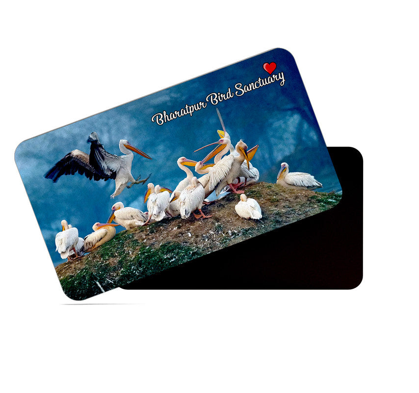 dhcrafts Rectangular Rubber Fridge Magnet / Magnetic Card Multicolor Rajasthan Bharatpur Bird Sanctuary Design Pack of 1 (8.6cm x 5.4cm)